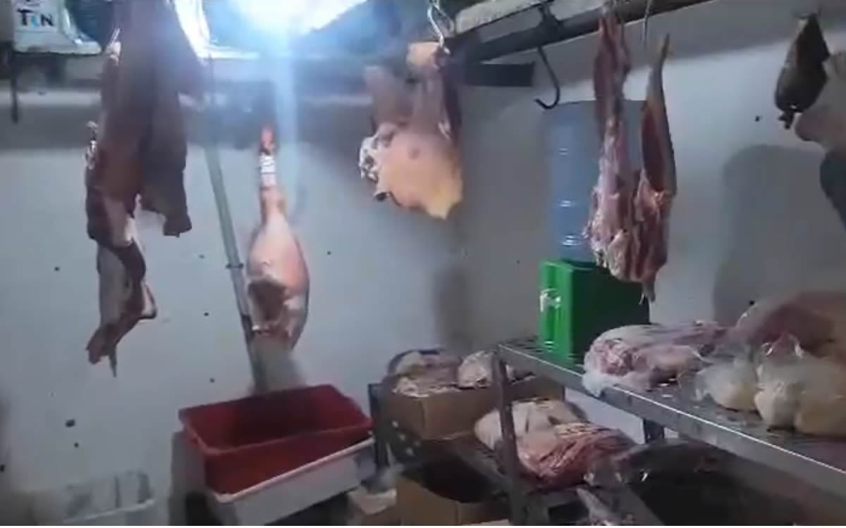 Peças armazenadas na câmara fria estavam fora das condições de higiene Divulgação / Polícia Civil